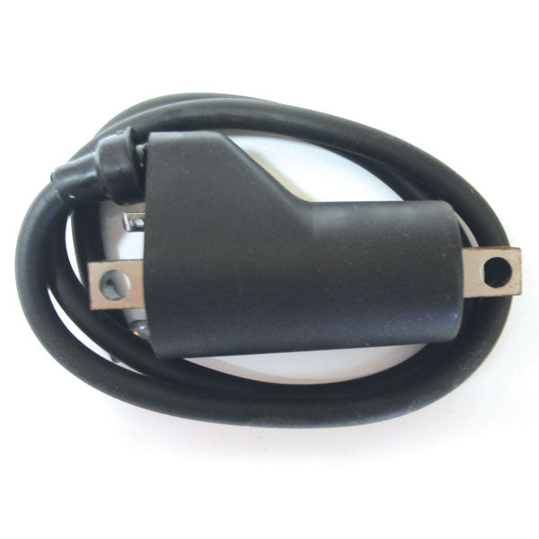 SPX Ignition Coil (01-143-61) | MunroPowersports.com