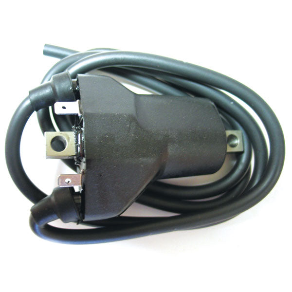 SPX Ignition Coil (01-143-62) | MunroPowersports.com