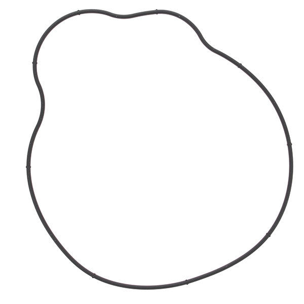 VERTEX IGNITION COVER GASKET (817940)