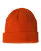 Champion Ribbed Knit Cuffed Beanie - CS4003 | MunroPowersports.com