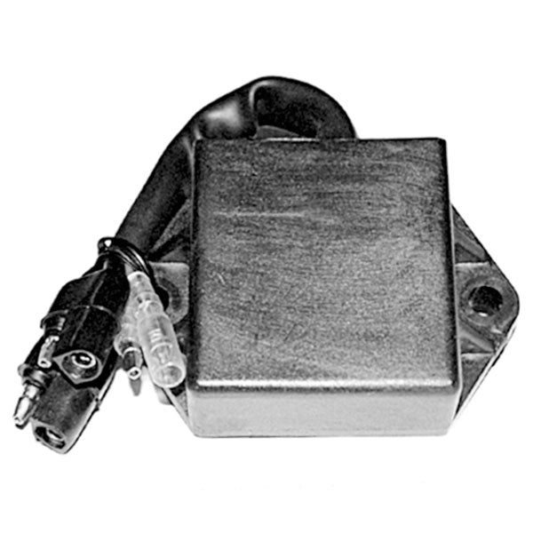 SPX Cdi Ignition Box (01-143-28) - 831-1060 | MunroPowersports.com