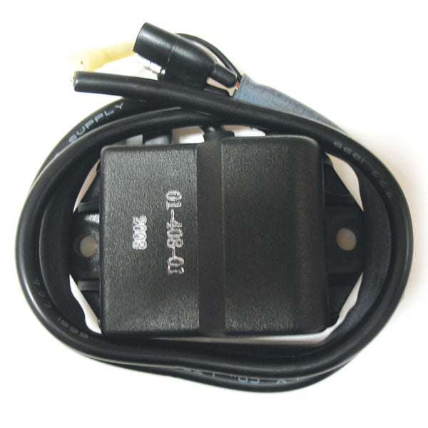 SPX Cdi Ignition Box (01-408-01) - 834-2080 | MunroPowersports.com