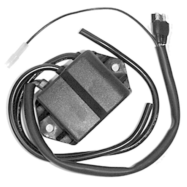 SPX Cdi Ignition Box (01-404) - 834-2090 | MunroPowersports.com